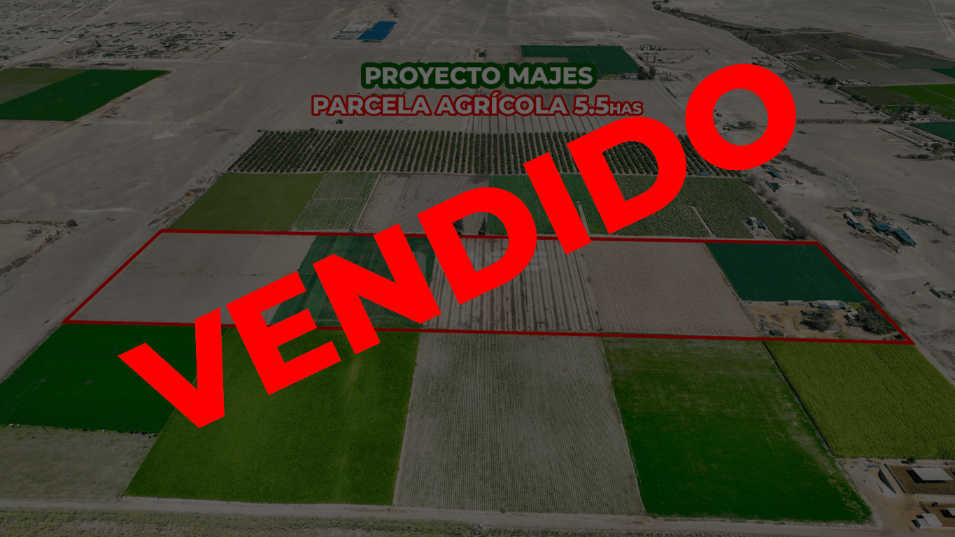 Parcela Agrícola en Venta – 5.5 Hectáreas en Irrigación Majes, Arequipa