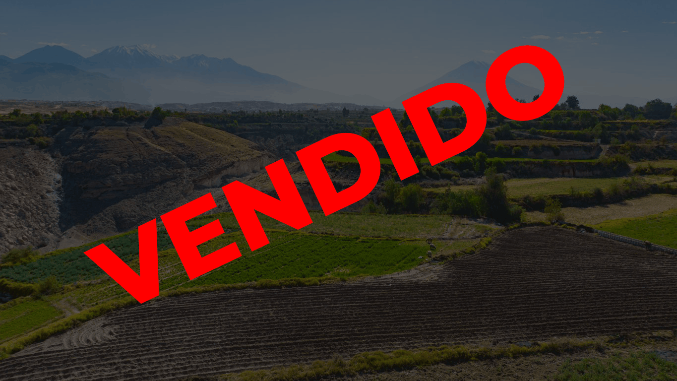 Terreno Agrícola en Venta en Uchumayo Arequipa – 4.2 Hectáreas con Agua Permanente